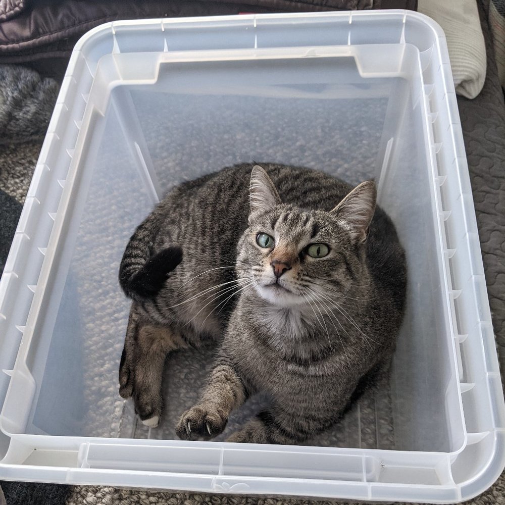 Meet your Posher, R. - Picture 2 of 11